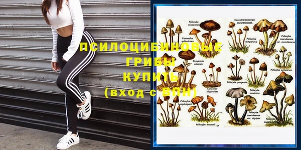 тгк Балабаново